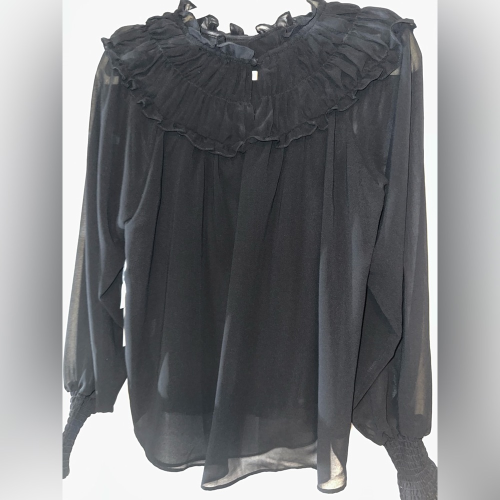 NWT Black 1.state size xs shirt/blouse. Sheer arms . Perfect condition.